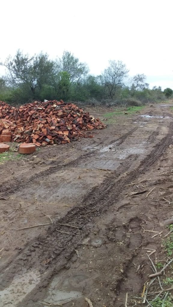 Red quebracho firewood stock at the production site