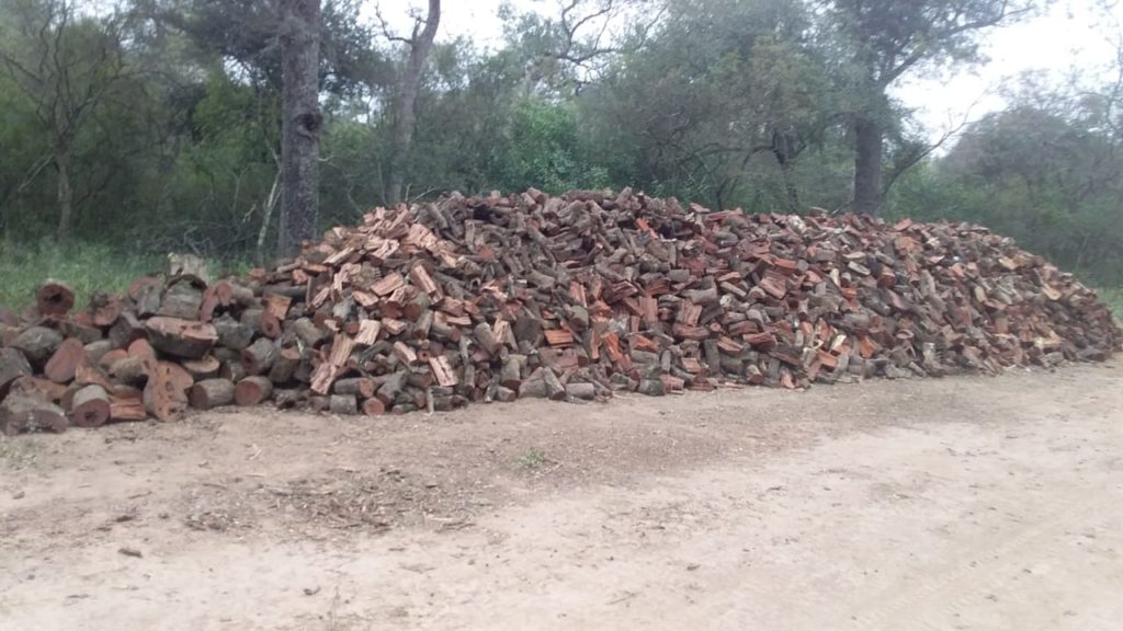 Pile of red quebracho firewood ready for export
