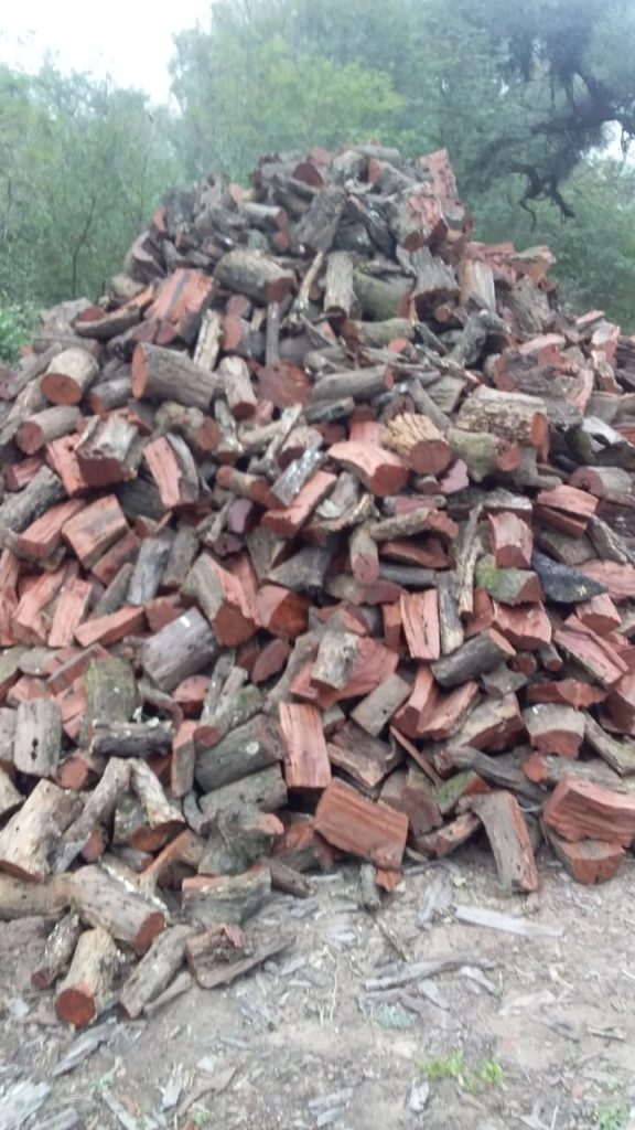 Close-up of split red quebracho firewood